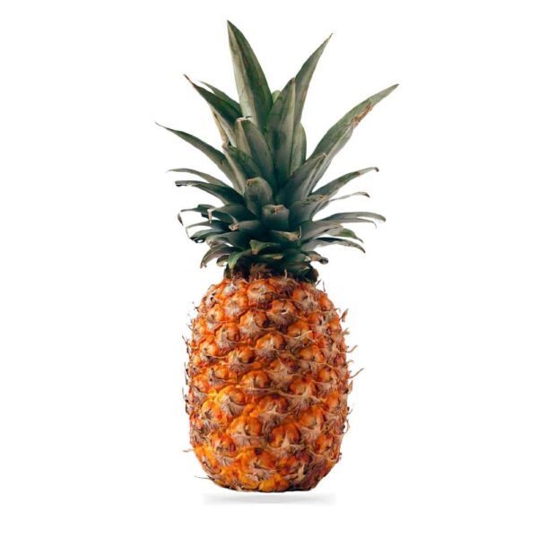 Hilly Pineapple (আনারস)