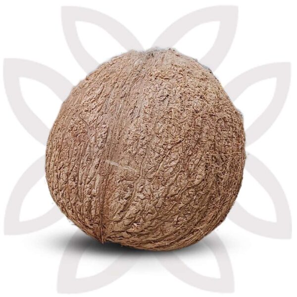 Coconut (নারিকেল)
